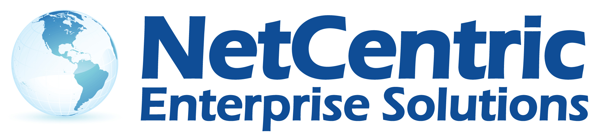 NetEntSol Logo